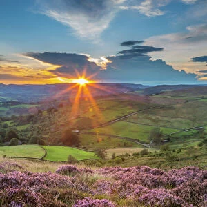 View of flowering heather on Stanage Edge and Hope Valley at sunset, Hathersage