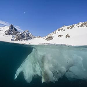 Above and below view of glacial ice in Orne Harbor, Antarctica, Polar Regions