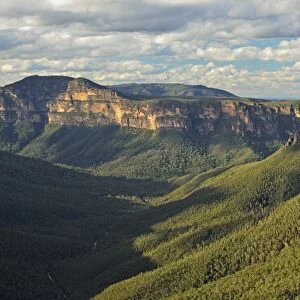 View of Grose Valley, Blue Mountains, Blue Mountains National Park, UNESCO World Heritage Site
