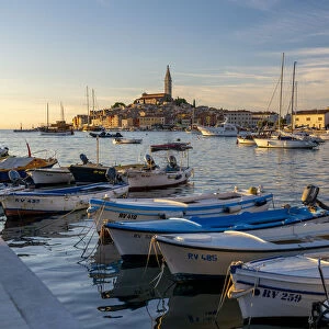 View of harbour and the old town with the Cathedral of St. Euphemia at sunset, Rovinj