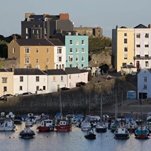 View over harbour, Tenby, Carmarthen Bay, Pembrokeshire, Wales, United Kingdom, Europe