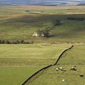 A view north from Crag Lough Heights to a Northumbrian farmstead, Hadrians Wall