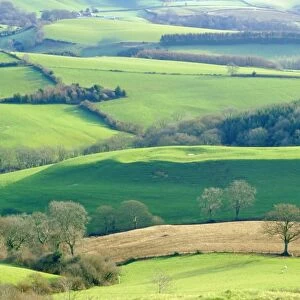 View from Pilsdon Pen, the highest hill in the county, Dorset, England, UK