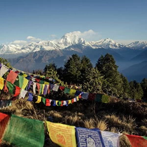 The view from Poon Hill, 3210m, with Dhaulagiri, 8167m, and Dhaulagiri massif, Dhampus Peak, 6012m, and Tukuche Peak, 6920m, in the background with prayer flags in the foreground, Annapurna Conservation Area, Nepal, Asia