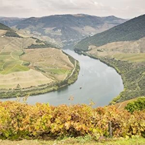 View over the River Duoro in autumn, Portugal, Europe