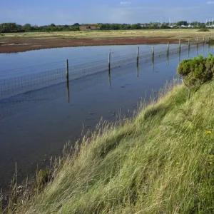 View of salt marshes from the Solent Way footpath, New Forest National Park