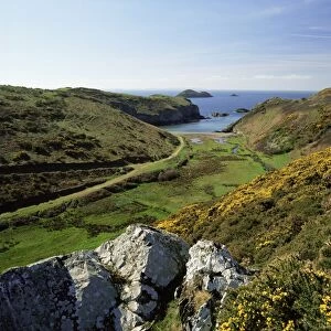 View to sea and beach from coast path near Lower Solva