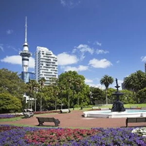 View of Sky Tower from Albert Park, Auckland, North Island, New Zealand, Pacific