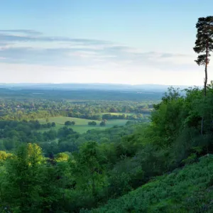 View south from Holmbury Hill towards The South Downs, Surrey Hills, Surrey