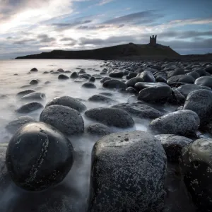 View at sunrise towards the ruin of Dunstanburgh Castle from the beach of basalt boulders known as The Rumble Churn at the southern end of Embleton Bay, Embleton, near Alnwick, Northumberland, England, United Kingdom, Europe