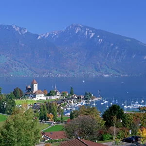 View over town and harbour of Spiez on Lake Thunersee in the Bernese Oberland