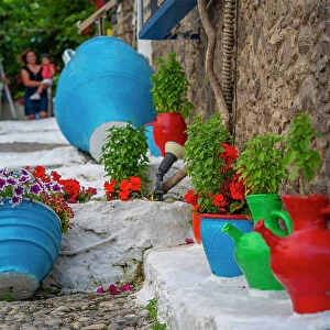 View of traditional colourful plant pots in Kos Town, Kos, Dodecanese, Greek Islands, Greece, Europe