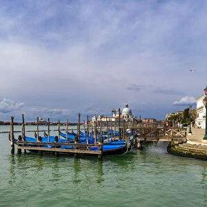 View of the Venetian lagoon with gondolas moored on the Grand Canal, Riva degli Schiavoni, Venice, UNESCO World Heritage Site, Veneto, Italy, Europe