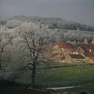 View of village of Chailly with frost covered trees, Bourgogne, France, Europe