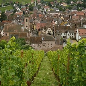 View over the village of Riquewihr and vineyards in the Wine Route area