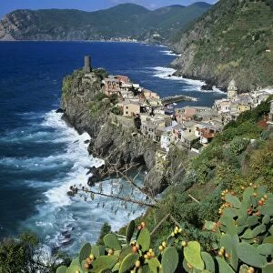 View over village on the Riviera di Levante, Vernazza, Cinque Terre, UNESCO World Heritage Site