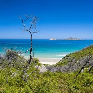 View over Wilsons Promontory National Park, Victoria, Australia, Pacific