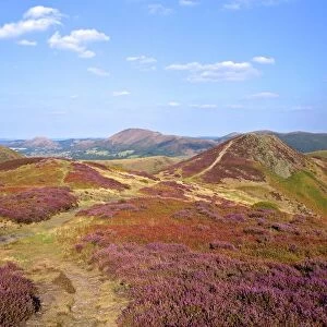 Views over Caradoc, Lawley and the Wrekin from the Long Mynd, Church Stretton Hills