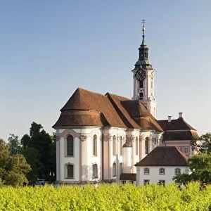 Vineyards and pilgrimage church of Birnau Abbey, Unteruhldingen, Lake Constance, Baden Wurttemberg, Germany, Europe