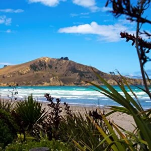 Waikouaiti Reserve, Otago, South Island, New Zealand, Pacific