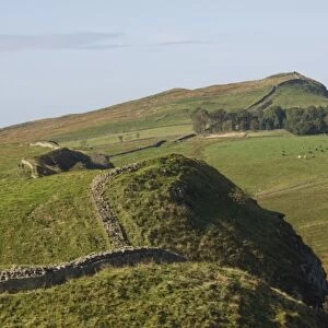 The wall east to Steel Rigg and Windshields Crag, Hadrians Wall, UNESCO World Heritage Site