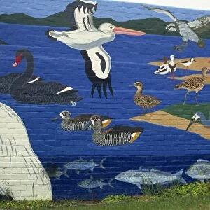 Wall painting of local birds, Denmark, Western Australia, Australia, Pacific