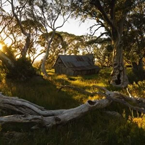Wallaces Hut, Bogong High Plains, Apline National Park, Victoria, Australia, Pacific