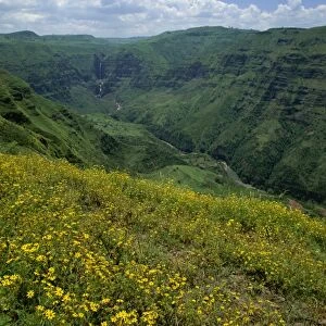 Waterfall cascades down lush valley, Mulu Gorge, near Addis Ababa, Ethiopia, Africa