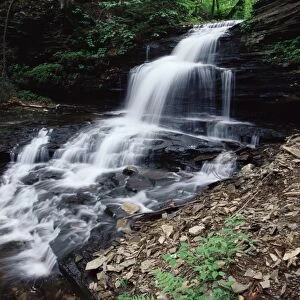 Waterfall, Ricketts Glen State Park