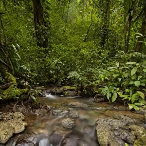 Waterfall, Semuc Champey, Guatemala, Central America