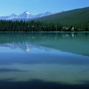 The still waters of Emerald Lake in the summer, Yoho National Park, UNESCO World Heritage Site