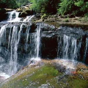 Wentworth Falls, Blue Mountains, New South Wales (NSW), Australia, Pacific