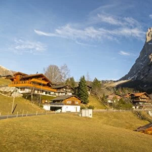 The Wetterhorn, Grindelwald, Jungfrau region, Bernese Oberland, Swiss Alps, Switzerland