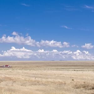 Wheat field with farm, Tamagaly Das, Kazakhstan, Central Asia