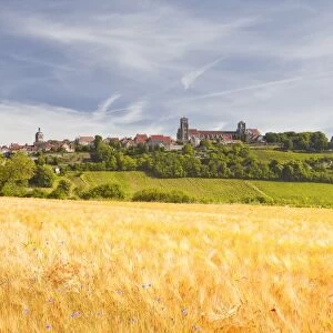 A wheat field below the hilltop village of Vezelay in the Yonne area of Burgundy, France, Europe