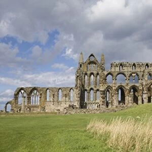 Whitby Abbey, Yorkshire, England, United Kingdom, Europe