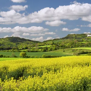 The White Horse of Kilburn, The North Yorkshire Moors, Yorkshire, England, United Kingdom