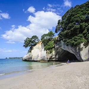 White sand beach on Cathedral Cove, Coromandel, North Island, New Zealand, Pacific