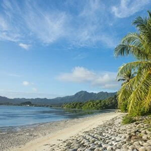 White sand beach, Kosrae, Federated States of Micronesia, South Pacific