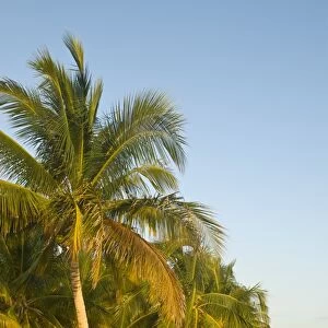 White sand beach, Playa Ancon, Trinidad, Cuba, West Indies, Caribbean, Central America