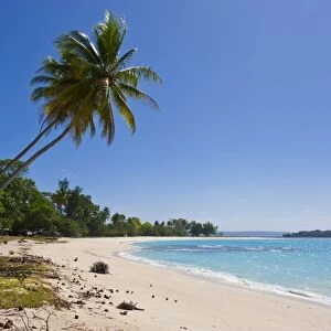 White sand beach in Port Orly, Island of Espiritu Santo, Vanuatu, South Pacific, Pacific