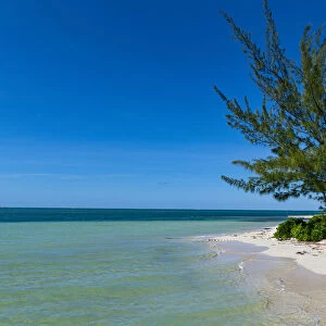 White sand beach, Water Cay, Grand Cayman, Cayman Islands, Caribbean, Central America