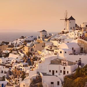Windmill and traditional houses at sunset, Oia, Santorini (Thira), Cyclades Islands, Greek Islands, Greece, Europe