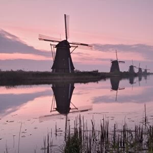 Windmills at Kinderdijk at dawn