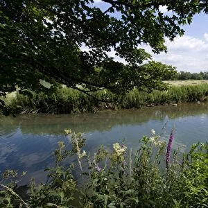 The Windrush River, Burford, Oxfordshire, England, United Kingdom, Europe