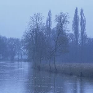 Winter landscape of bare trees and the River Loir near Le Lude, in Sarthe