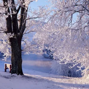 Winter scene beside the River Tay