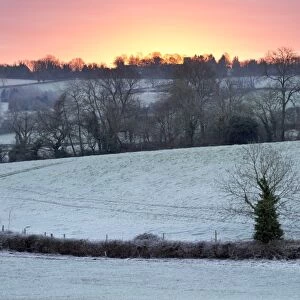 Winter trees and fields in dawn frost, Stow-on-the-Wold, Gloucestershire, Cotswolds, England, United Kingdom, Europe