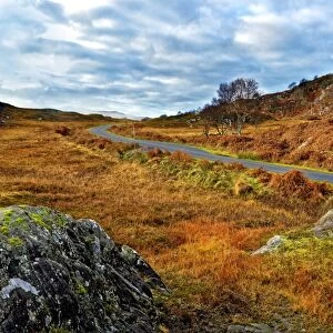 A winter view of a remote winding road through the colorful moors and hills of Ardnamurchan