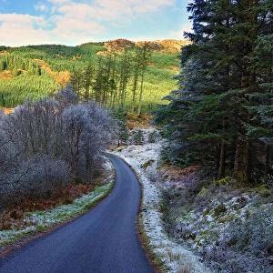 A winter view of a winding road through a wooded valley in the Ardnamurchan Peninsula